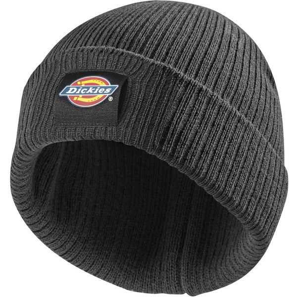 Dickies DT8003 22 Evadale Logo Beanie