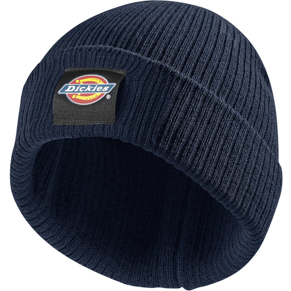 Dickies DT8003 22 Evadale Logo Beanie