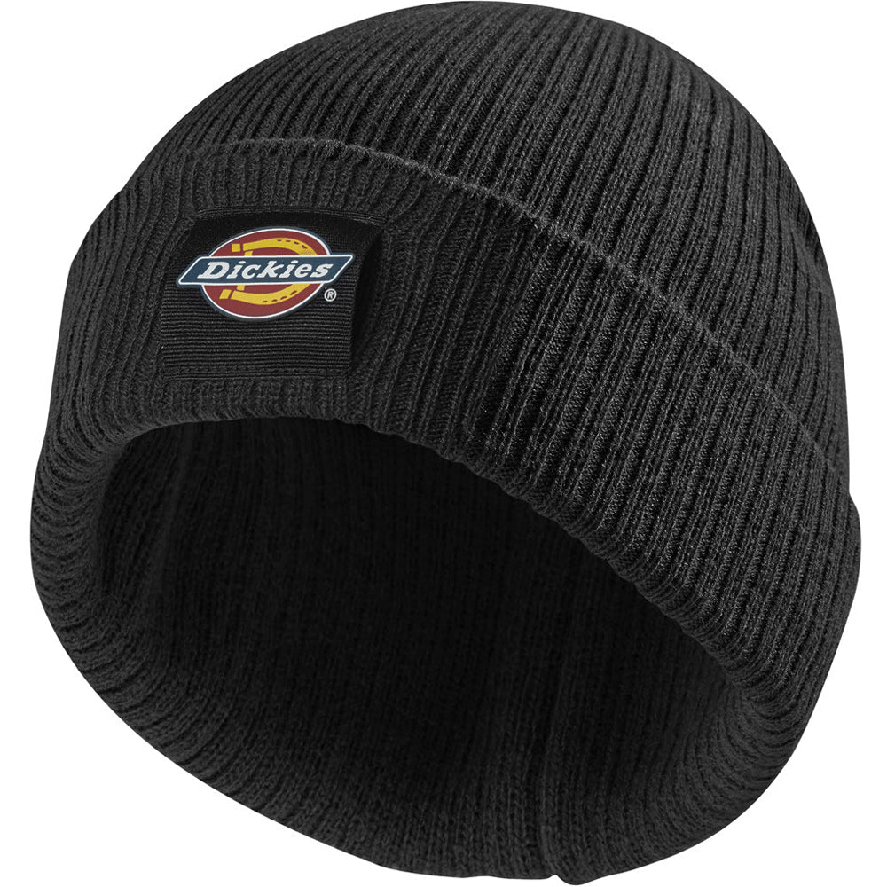 Dickies DT8003 22 Evadale Logo Beanie